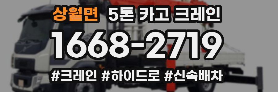 상월면 5톤 카고 크레인