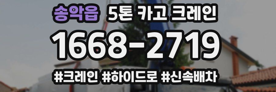 송악읍 5톤 카고 크레인