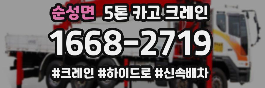 순성면 5톤 카고 크레인