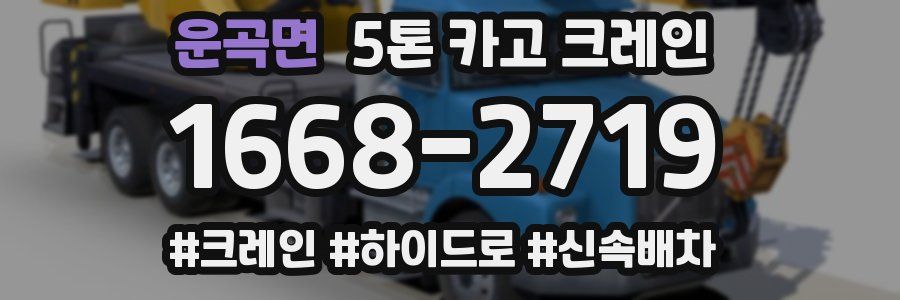 운곡면 5톤 카고 크레인