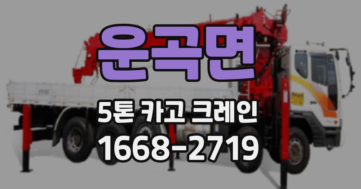 운곡면 5톤 카고 크레인