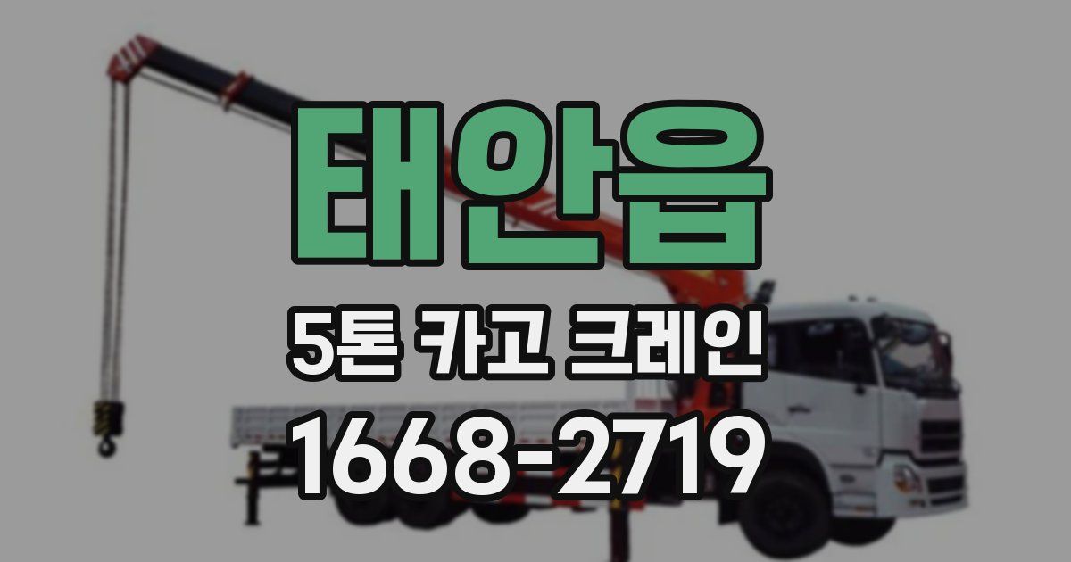 태안읍 5톤 카고 크레인