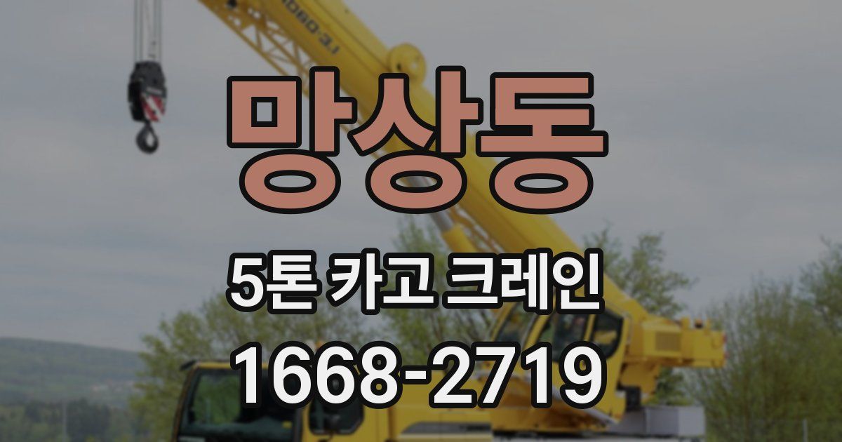망상동 5톤 카고 크레인