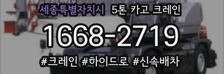 세종특별자치시 5톤 카고 크레인
