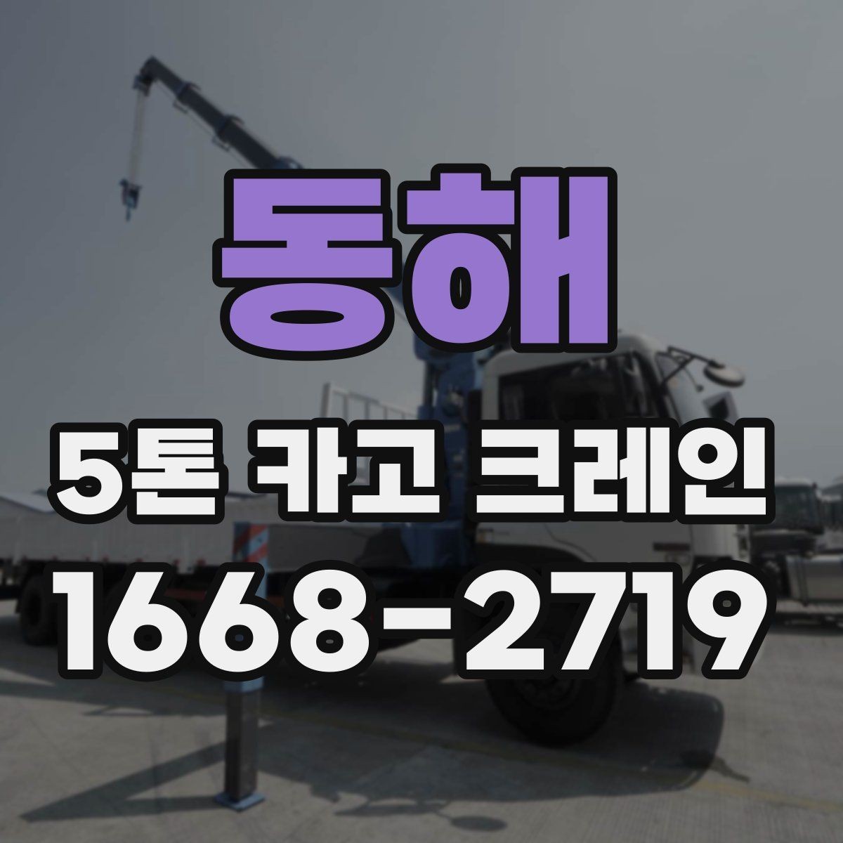 동해 5톤 카고 크레인 배차 전 살펴볼 조건