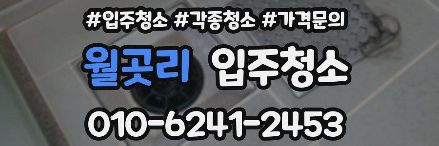 월곳리 이사청소