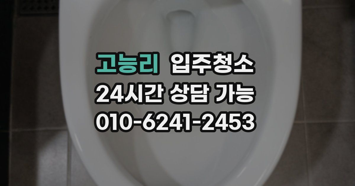 고능리 입주청소