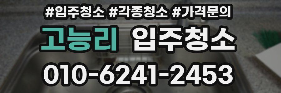 고능리 이사청소