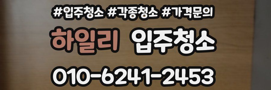 하일리 이사청소