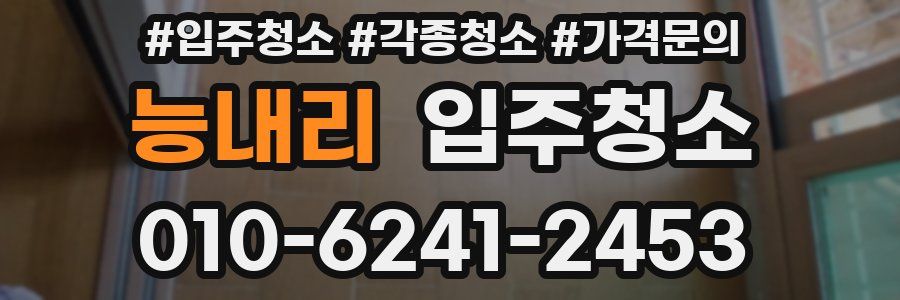 능내리 이사청소