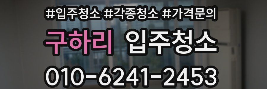 구하리 이사청소