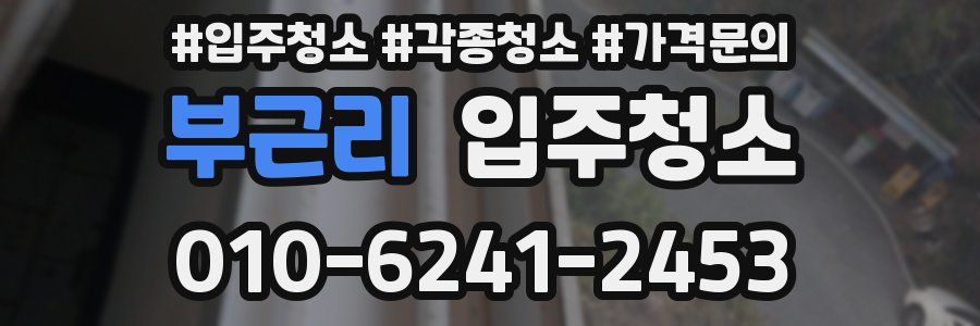 부근리 이사청소