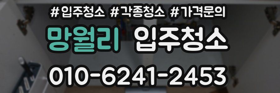 망월리 이사청소