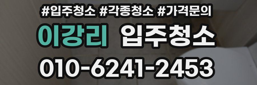 이강리 이사청소