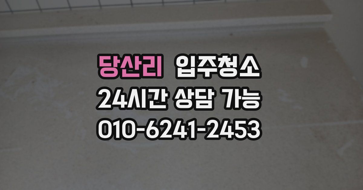 당산리 입주청소