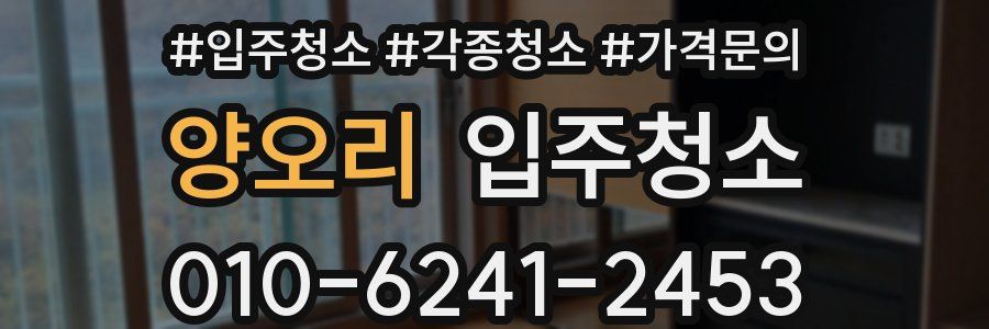 양오리 이사청소