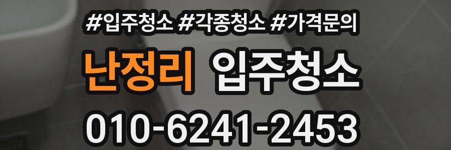 난정리 이사청소