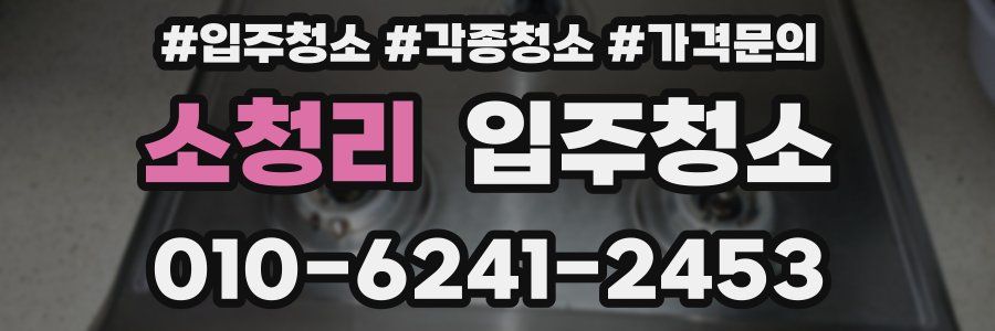 소청리 이사청소