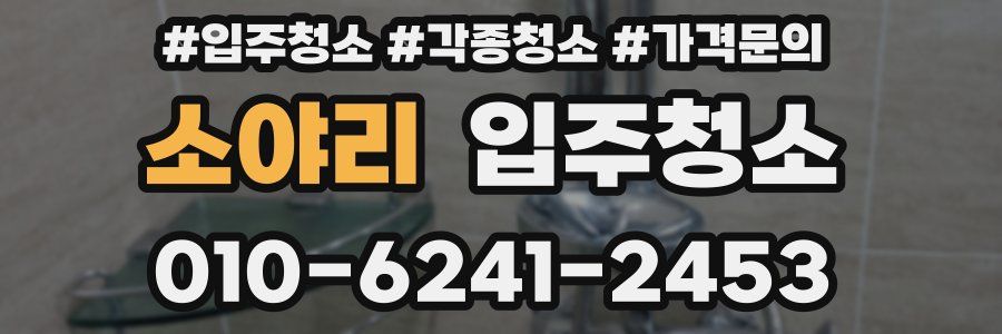 소야리 이사청소