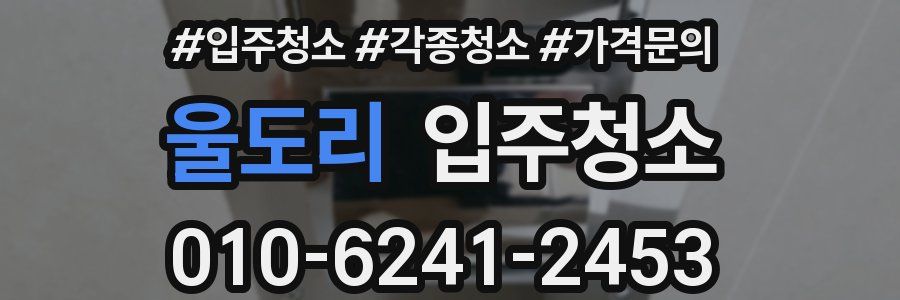 울도리 이사청소