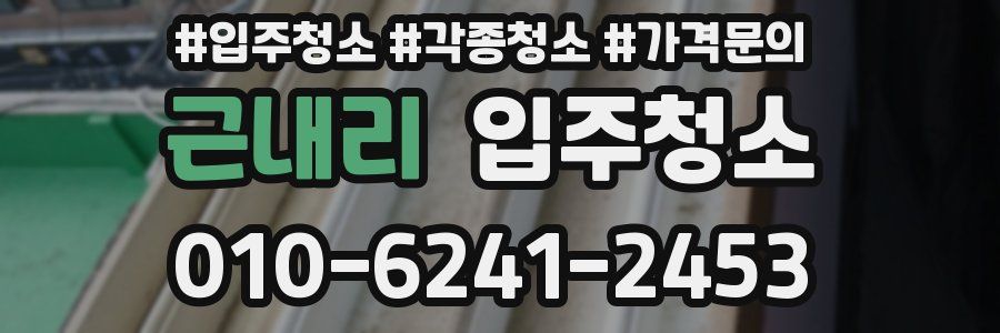 근내리 이사청소