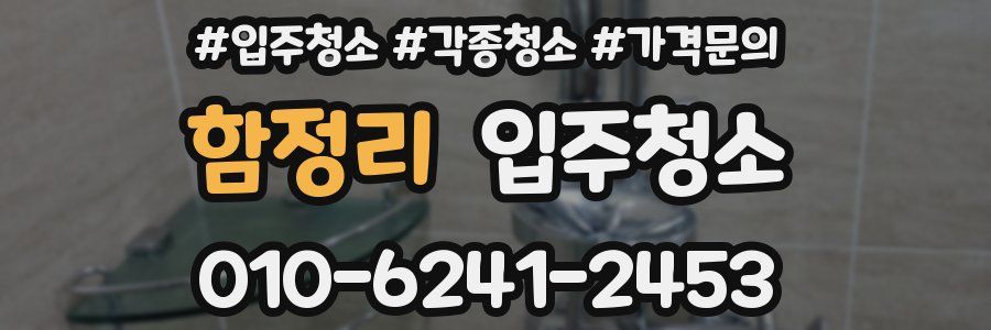 함정리 이사청소