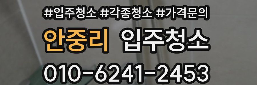 안중리 이사청소