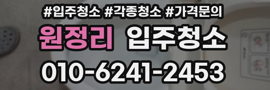 원정리 이사청소