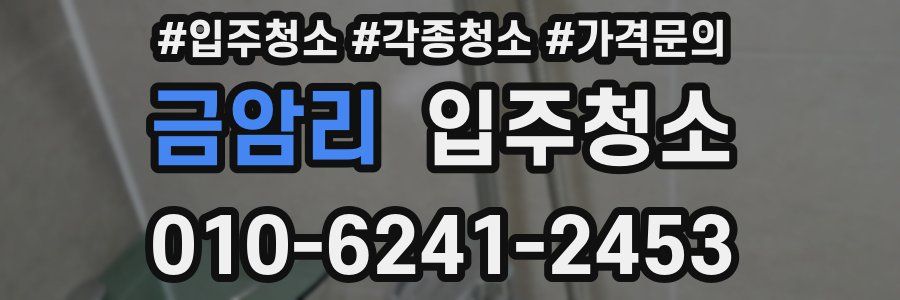 금암리 이사청소