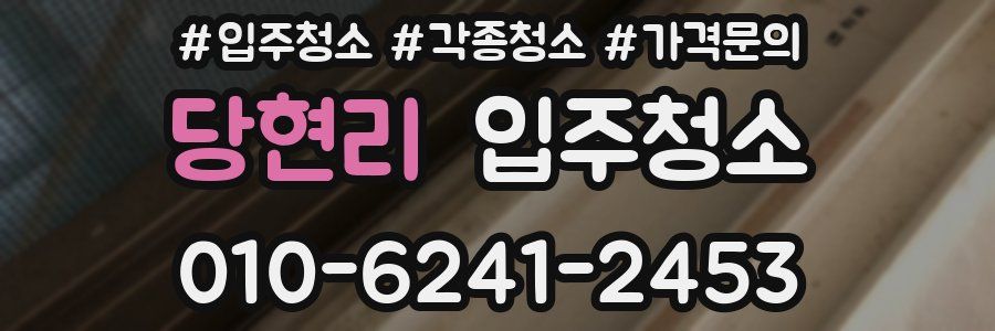 당현리 이사청소