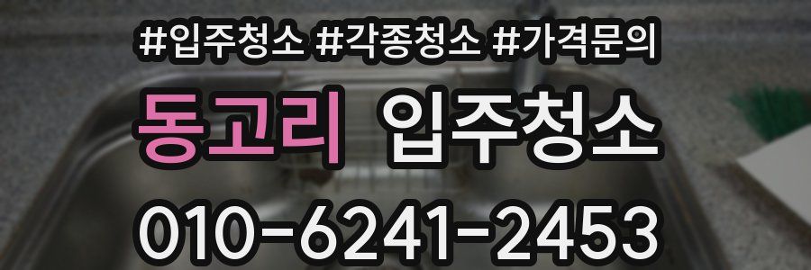 동고리 이사청소