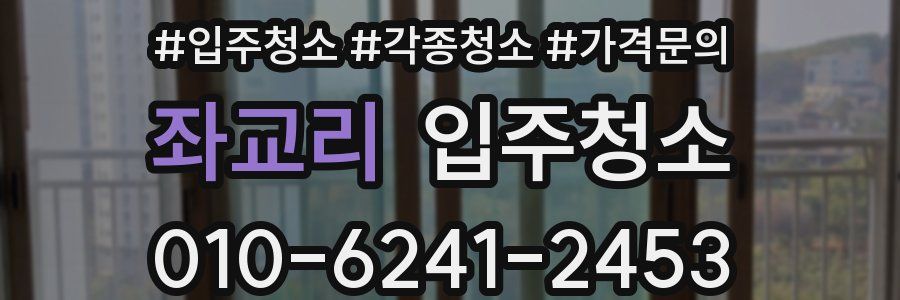 좌교리 이사청소