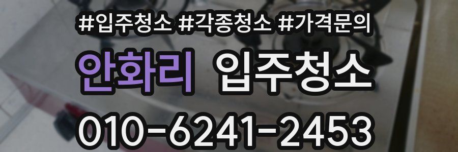 안화리 이사청소