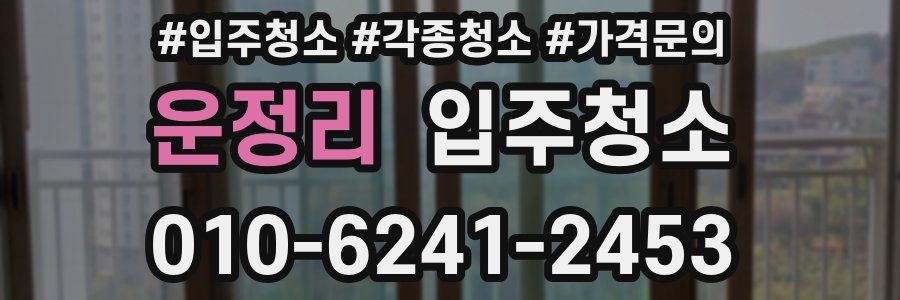 운정리 이사청소