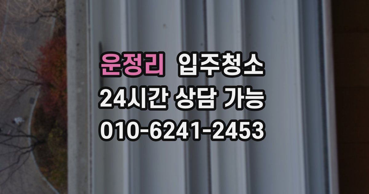 운정리 입주청소