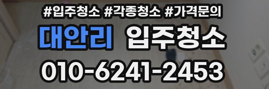 대안리 이사청소