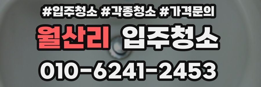 월산리 이사청소