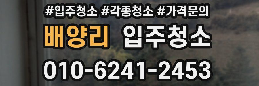 배양리 이사청소