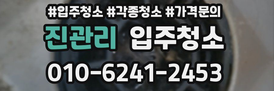 진관리 이사청소