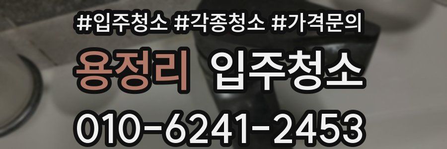 용정리 이사청소