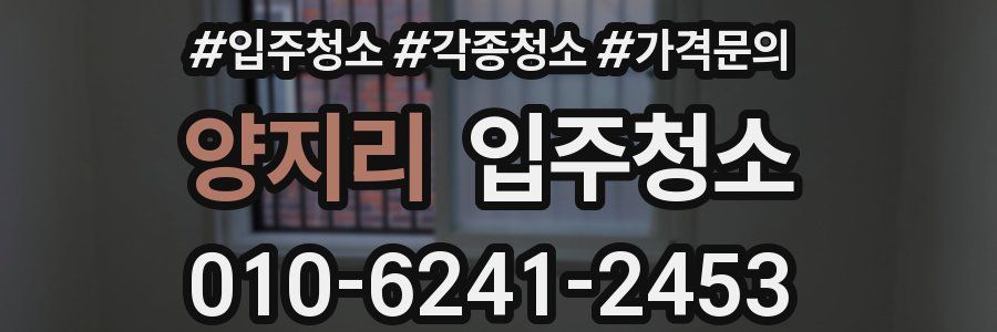 양지리 이사청소