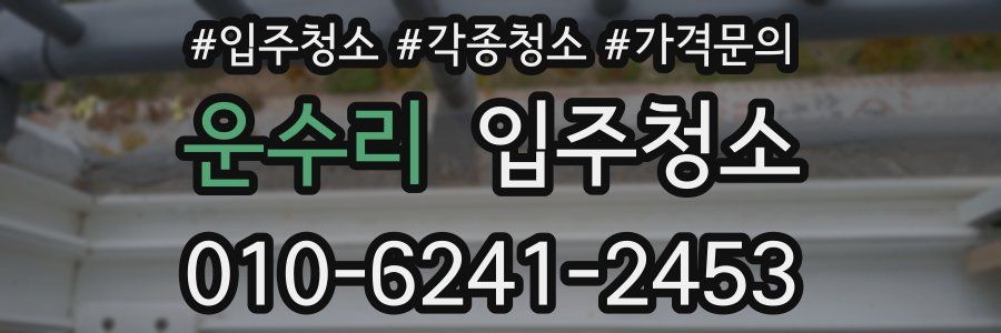 운수리 이사청소