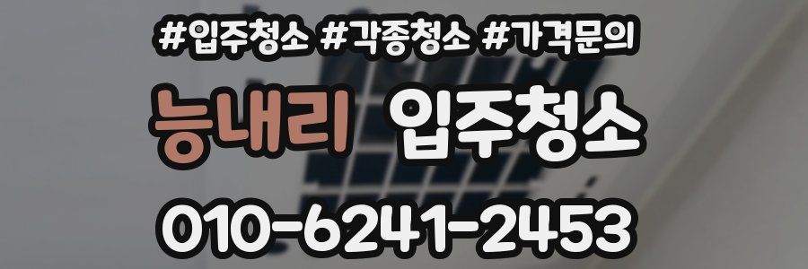 능내리 이사청소