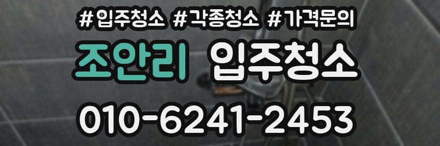 조안리 이사청소