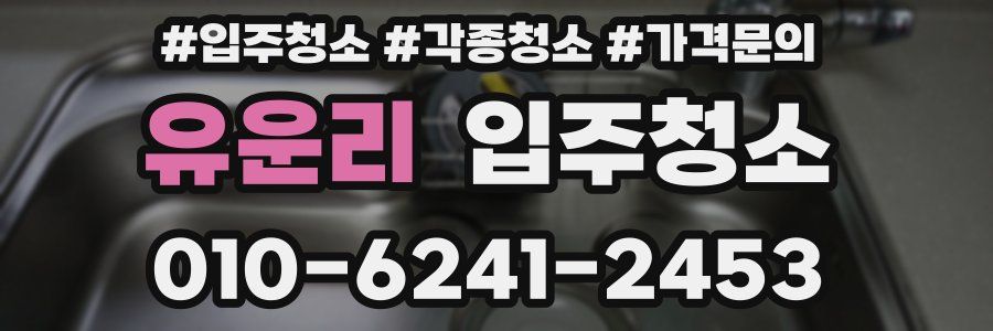 유운리 이사청소