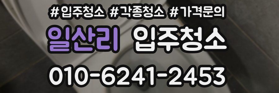 일산리 이사청소