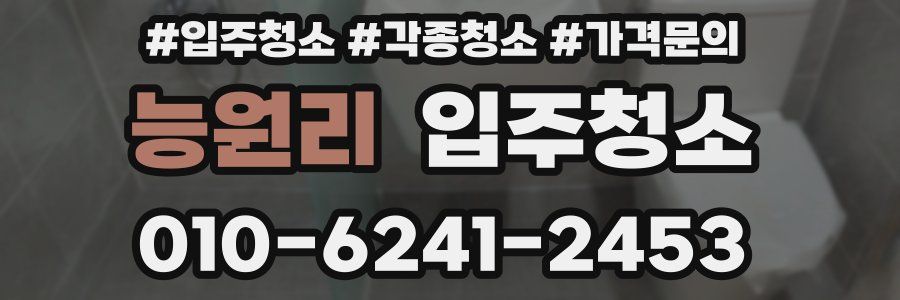 능원리 이사청소