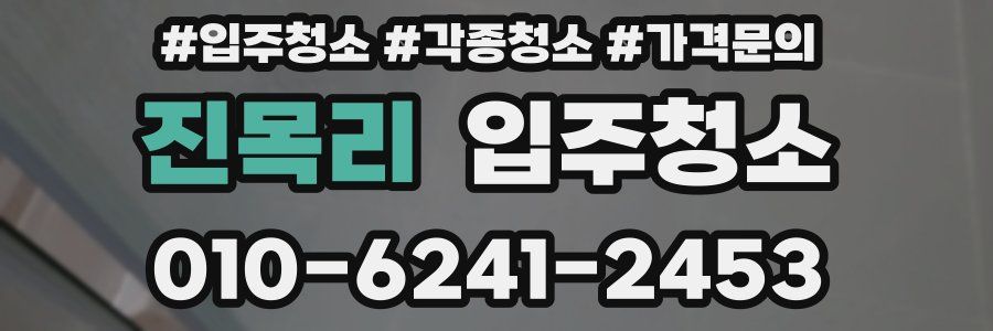 진목리 이사청소