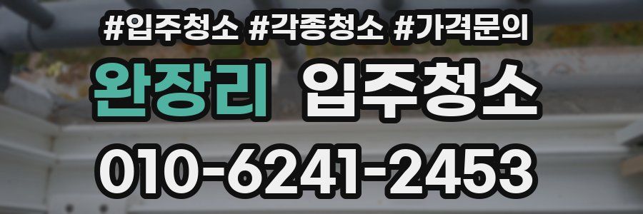 완장리 이사청소