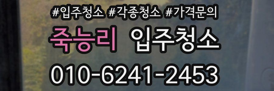 죽능리 이사청소